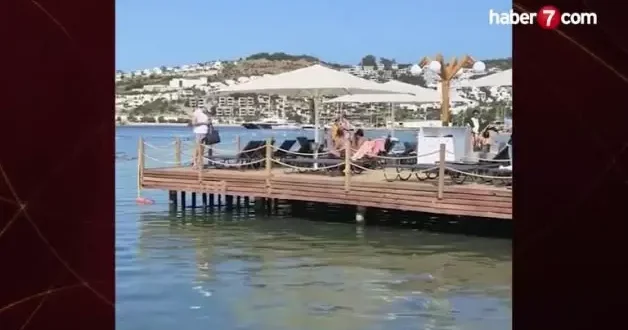 Bu kadarına da pes! Bodrum da vatandaş fiyatlara isyan etti