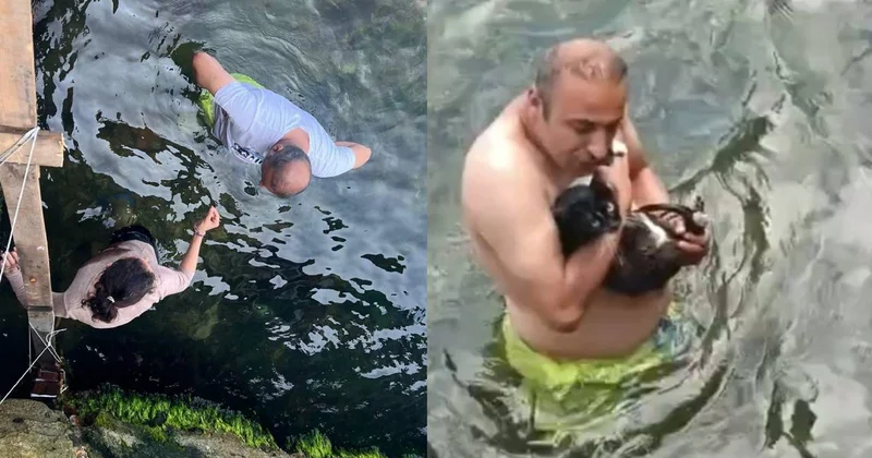 Adalıların umutlu bekleyişi sevince dönüştü! Küçük kedi 8 günün ardından kurtarıldı