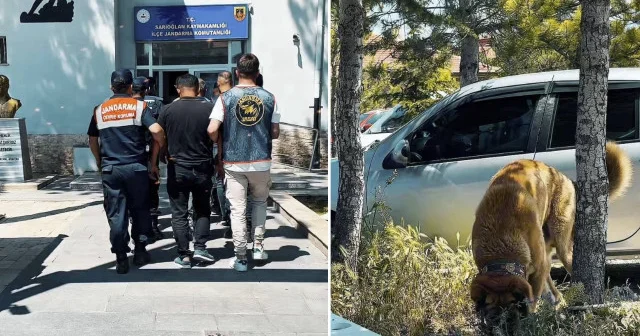 Açık alanda köpek dövüştüren şahıslara operasyon: 8 gözaltı Kayseri Haberleri