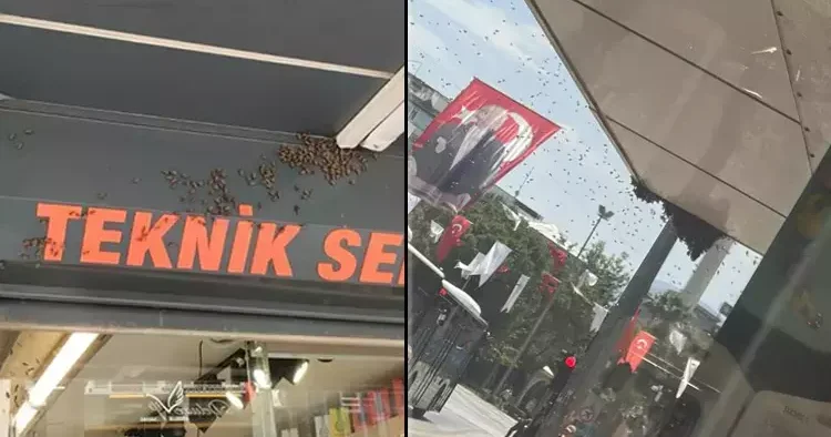 Denizli de şehir merkezine binlercesi geldi! Esnaf dükkan kapattı