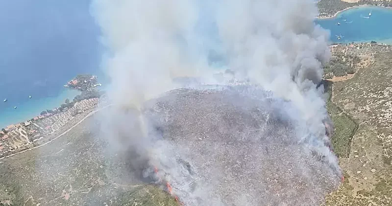 İzmir in Karaburun ve Foça ilçelerinde orman yangını