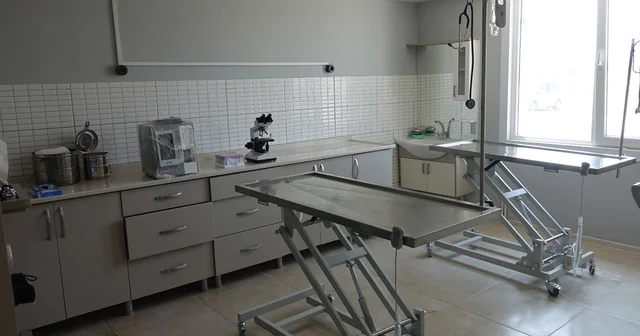 Balıkesir de yenilenen sokak hayvanları rehabilitasyon merkezi açıldı Balıkesir Haberleri