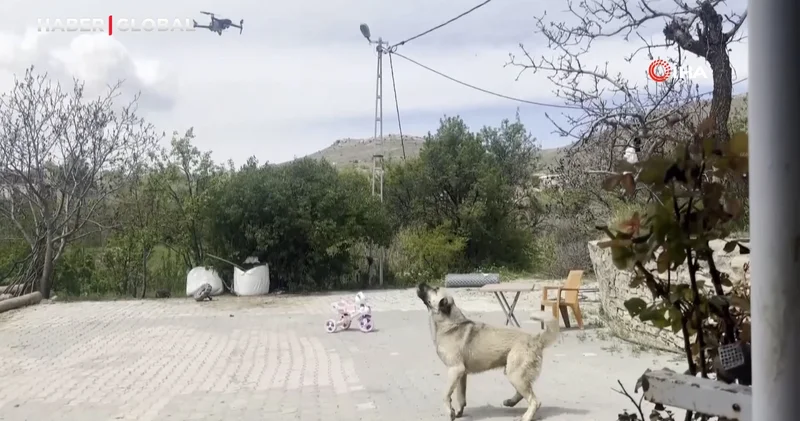 Köpeğin dron ile imtihanı gülümsetti