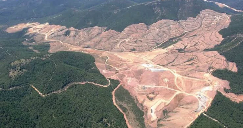 Kaz Dağları’nda bir proje daha; rüzgâr santralı için binlerce ağaç kesilecek