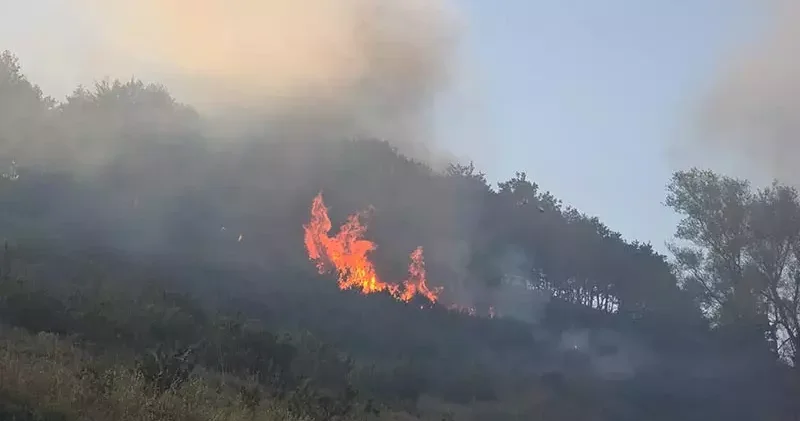 Bursa Yalova sınırında orman yangını