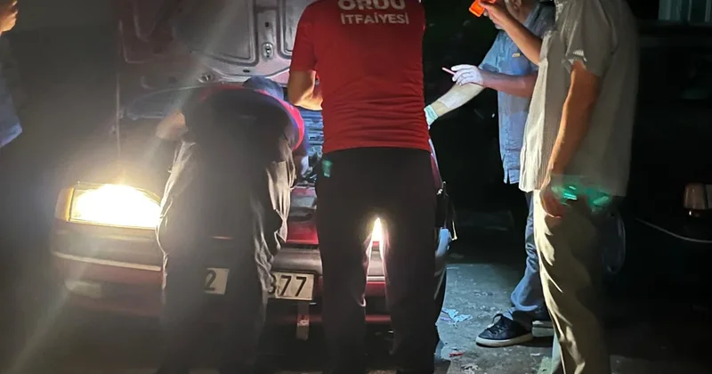 Otomobilin motoruna sıkışan kedi kurtarıldı Sözcü Gazetesi