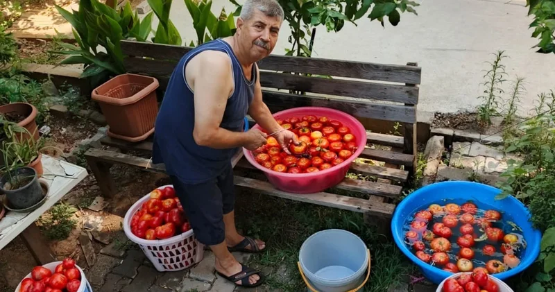 Salça yapım telaşı başladı