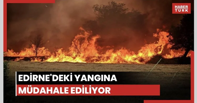 Edirne de çıkan orman yangınına müdahale