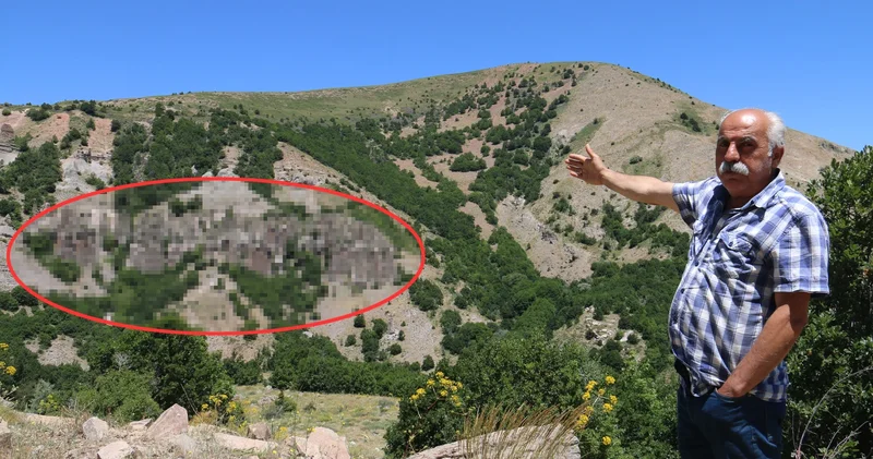 Yer Sivas... Efsanesi dilden dile dolaşıyor: Boy boy ve sıralı halde!