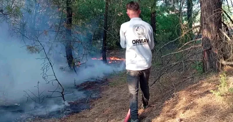 Amasya da Orman Yangını: 25 Dekar Zarar