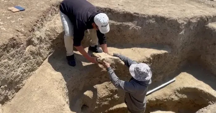 Türklerin kayıp şehri Togu Balık kazı çalışmalarıyla gün yüzüne çıkarılıyor