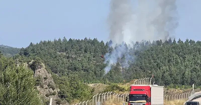 Tokat’ta çıkan orman yangını kontrol altında