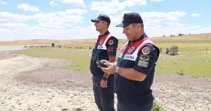 Yozgat ta flamingolar jandarma ekiplerince korunuyor