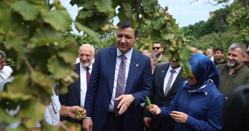Saadet Partisi Lideri Arıkan, fındık bahçesinden iktidara seslendi: Trabzonlu hemşerim emek veriyor ama nimetini Hamburg daki fındık lobileri yiyor!