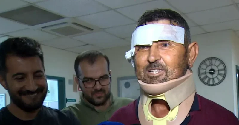 Antalya da Aslan Saldırısı: Çiftçi Taburcu Oldu