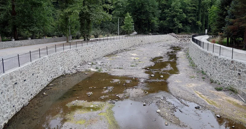 Sakarya’da korkutan manzara: Doğaseverlerin gözdesi kurudu