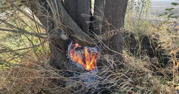 Amasya da tarım arazisinde çıkan ve ormanlık alana sıçrayan yangın söndürüldü