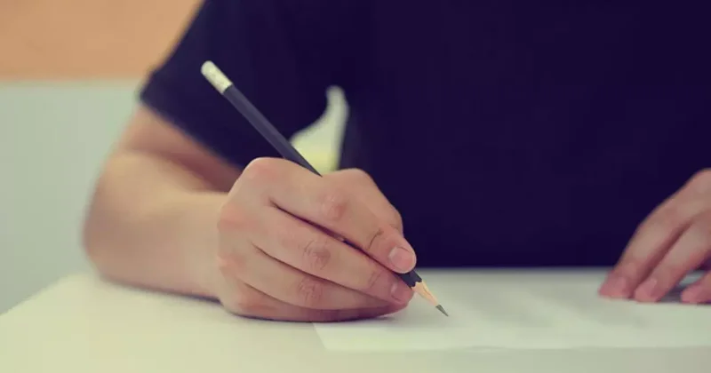 2025 MEB AGS sonuçları açıklandı: İşte AGS ev ÖABT sonuçları sorgulama ekranı