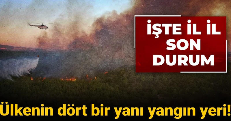 Ülkenin dört bir yanı yangın yeri! İşte il il son durum