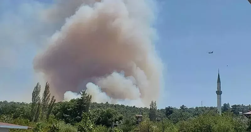 Mersin de 3 ayrı noktada orman yangını