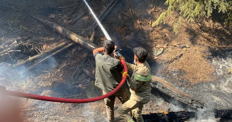 Kahramanmaraş ta 3 gündür devam eden yangın kontrol altına alındı. İşte detaylar...