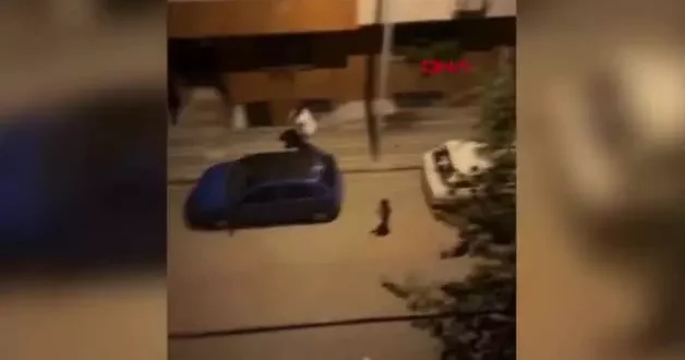 İki aile sokakta bıçaklı sopalı kavga etti, işte korkutan o anlar