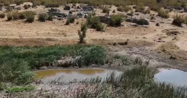 Kırklareli nin Sazlık Göleti kuraklık nedeniyle kuruma noktasına geldi VİDEO İZLE