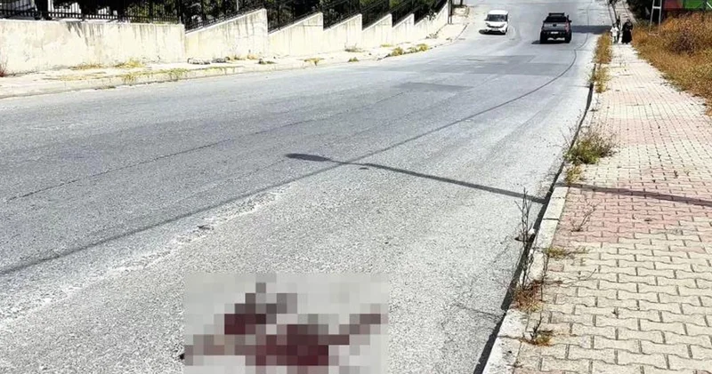 Mezarlık önünde kardeş kavgası cinayetle bitti: 1 ölü