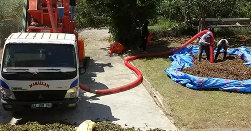 Saatlik ücreti 4 bin 500 TL! Fındıkta patoz mesaisi başladı