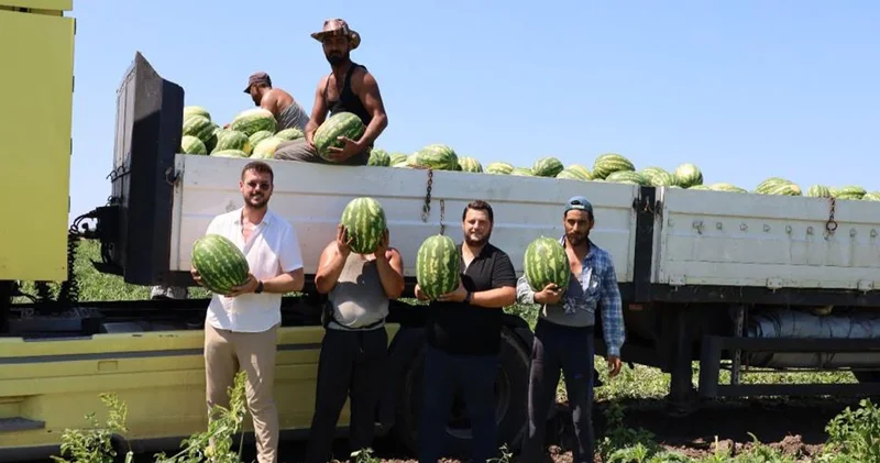 Karpuz üreticisi mutsuz; tarlada 2, markette 8,5 TL