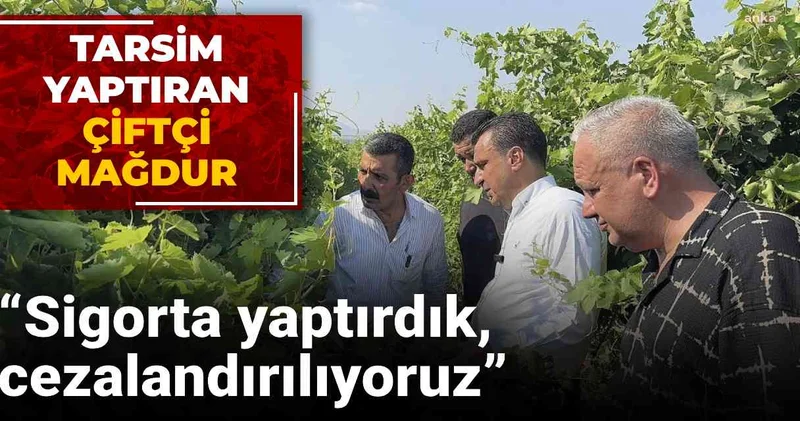 TARSİM yaptıran çiftçi mağdur: Sigorta yaptırdık, cezalandırılıyoruz