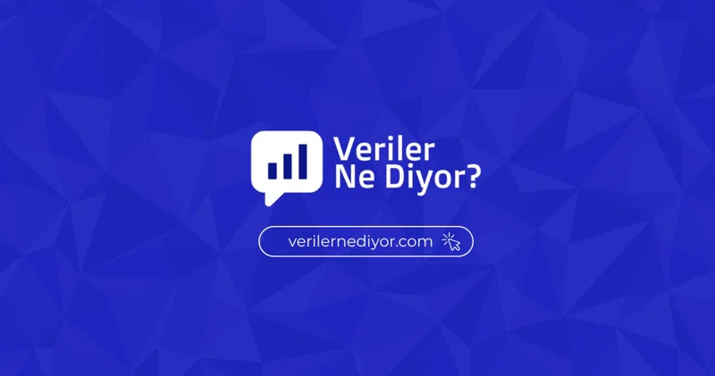 Bağımsız veri gazeteciliği platformu Veriler Ne Diyor? yayın hayatına başladı: Amacımız ülkenin dijital hafızasını korumak