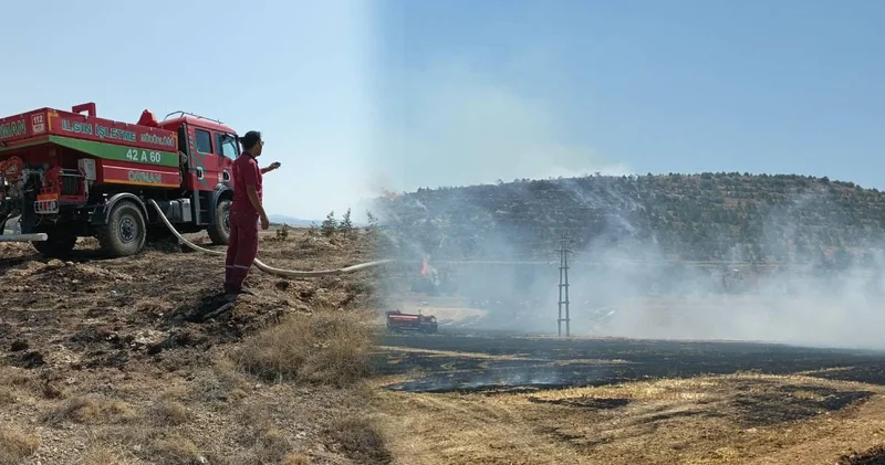 Anız yangını orman sıçradı! Alevler kontrol altında