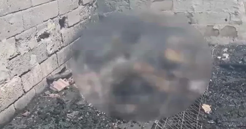 Kırklareli nde yangın: Koyun ve kuzular öldü!