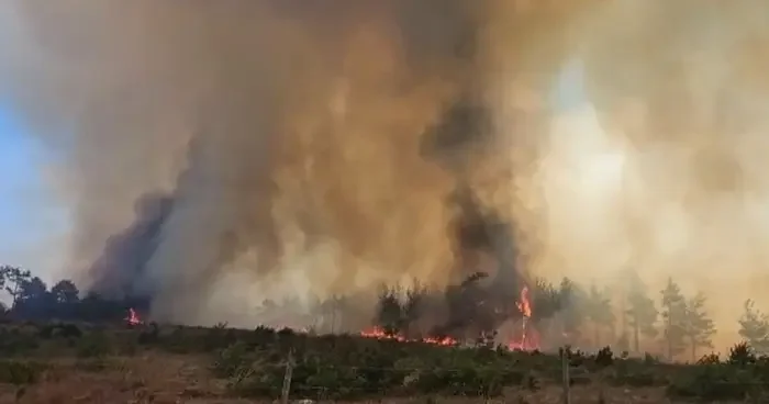 Çanakkale de yeni bir yangın daha başladı! Ekipler müdahale ediyor...