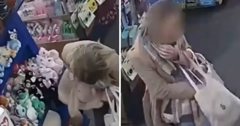 Peluş oyuncakları pantolonuna doldurarak çaldı