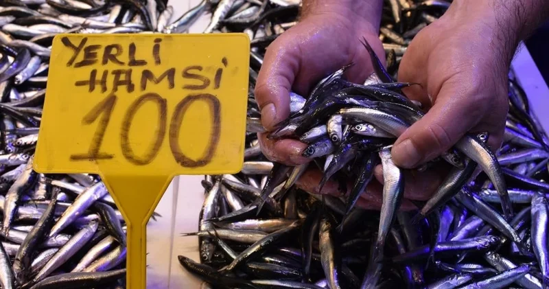 Sezon açıldı: Hamsinin kilosu 100 lira!