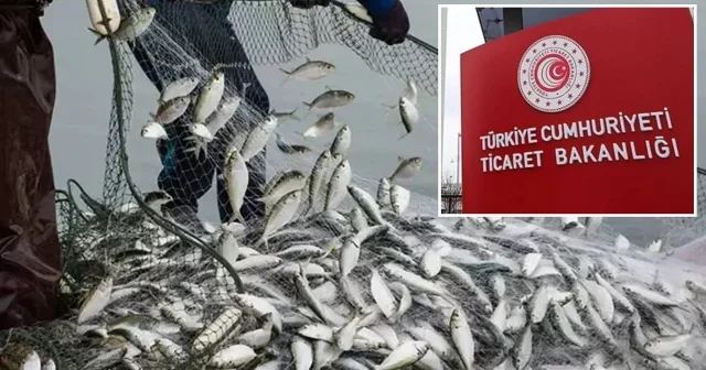 Ticaret Bakanlığı açıkladı: Türk su ürünlerinin Kanada ya ihracatına yönelik kısıtlamalar kaldırıldı Ekonomi Haberleri