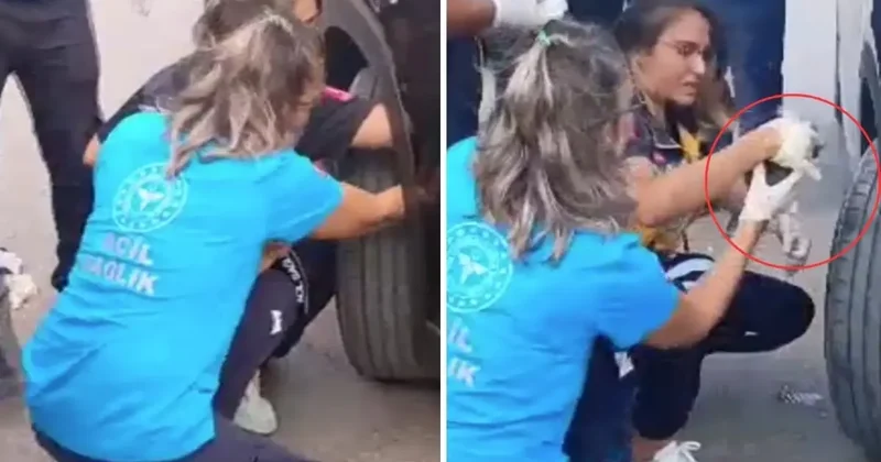 Bakan ın Konvoyuna Sıkışan Kedi Kurtarıldı
