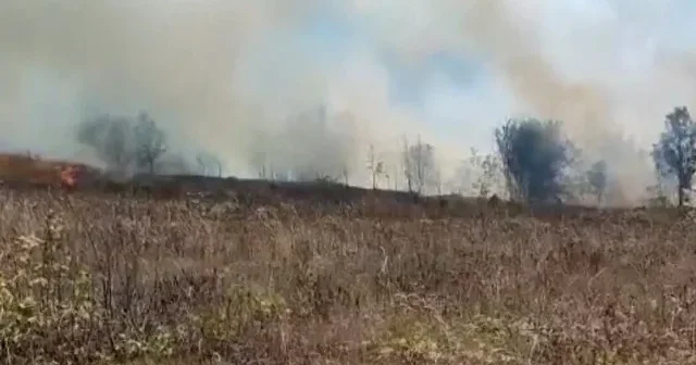 Düzce’de anız yangını büyümeden söndürüldü VİDEO İZLE