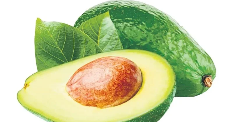 İDİL AÇIKALIN Avokado ile tanışalım