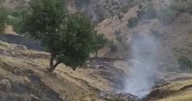 Vatandaşı panikleten anız yangını Bitlis Haberleri