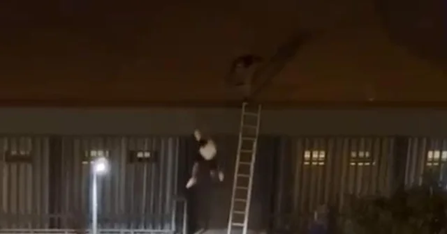 Konseri izlemek için çıktığı çatıdan atıldı, savcılık soruşturma başlattı Mersin Haberleri