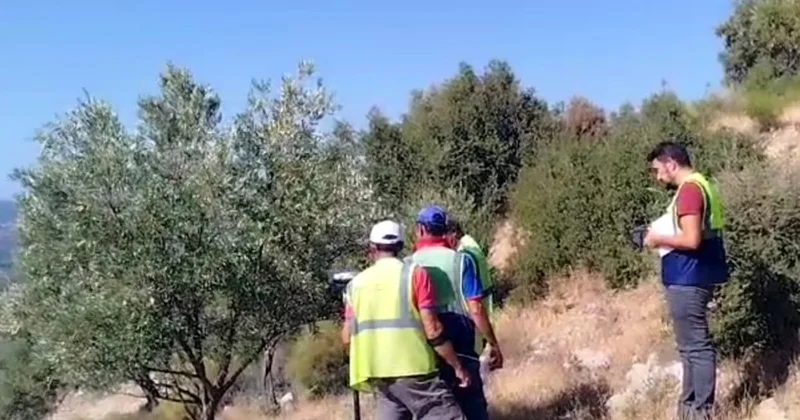 Zeytin katliamı mesaisi başladı Sözcü Gazetesi