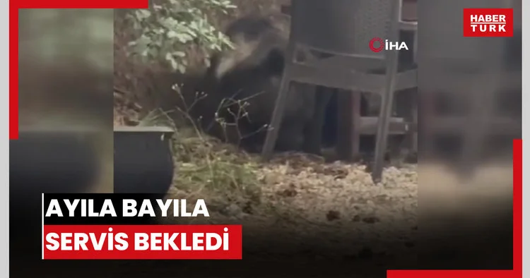 Ayıla bayıla servis bekledi