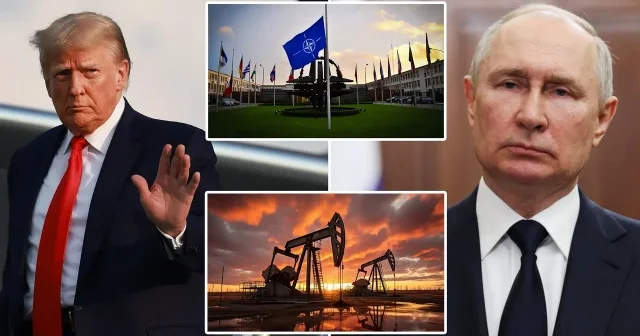 Trump tan NATO ya Rusya resti: Petrol almazsanız yaptırım uygularım Dünya Haberleri