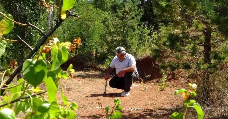 Bayburt Kehribarı: Doğadan Takıya