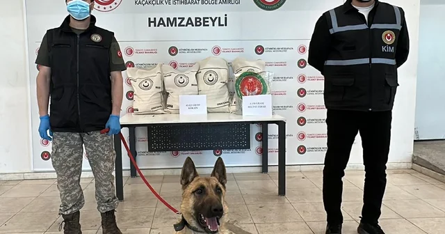 Hamzabeyli de 50 kilo uyuşturucuyu Bodri buldu Edirne Haberleri