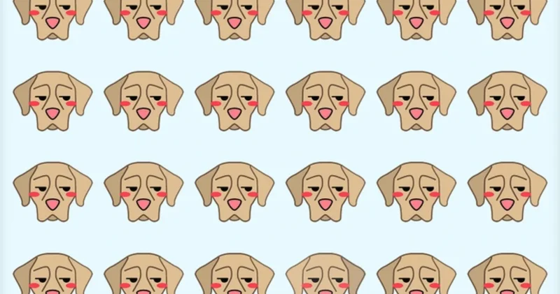 Annesi gelse o bile ayırt edemez! Resimdeki farklı köpeği sadece bir dahi 6 saniyede bulabilir