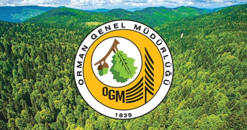 OGM 69 işçi alımı başvuru tarihleri: Orman Genel Müdürlüğü OGM işçi başvurusu ne zaman, şartları nelerdir?